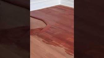 Humix video